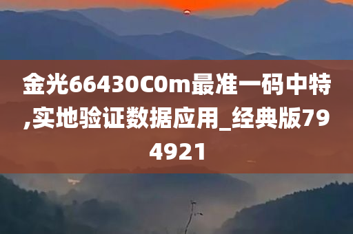 金光66430C0m最准一码中特,实地验证数据应用_经典版794921