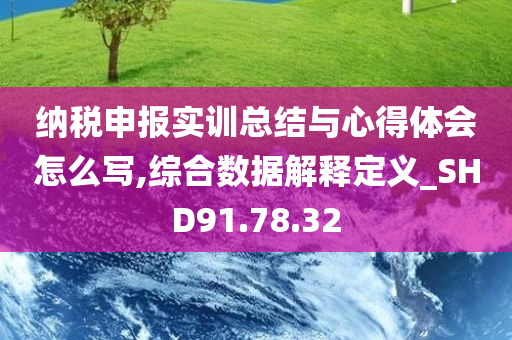 纳税申报实训总结与心得体会怎么写,综合数据解释定义_SHD91.78.32