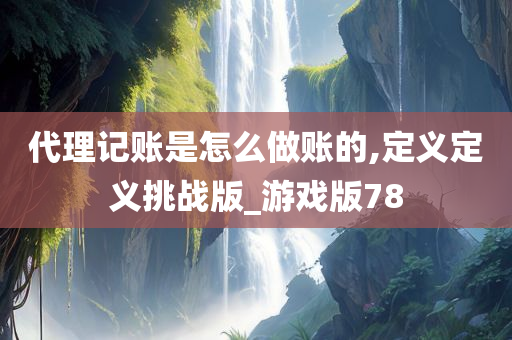 代理记账是怎么做账的,定义定义挑战版_游戏版78