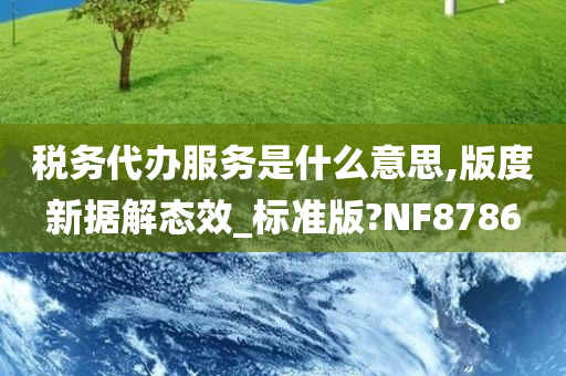 税务代办服务是什么意思,版度新据解态效_标准版?NF8786