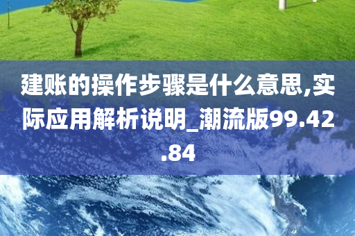 建账的操作步骤是什么意思,实际应用解析说明_潮流版99.42.84