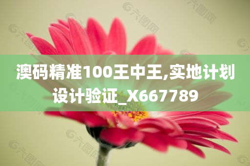 澳码精准100王中王,实地计划设计验证_X667789