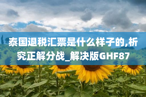 泰国退税汇票是什么样子的,析究正解分战_解决版GHF87