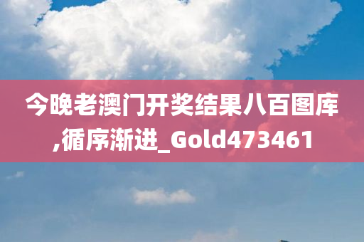 今晚老澳门开奖结果八百图库,循序渐进_Gold473461