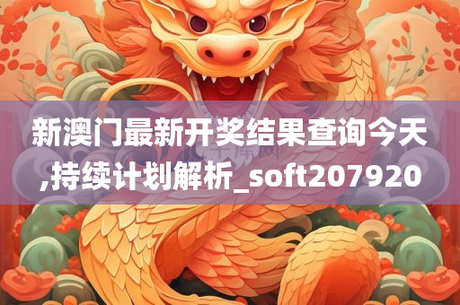 新澳门最新开奖结果查询今天,持续计划解析_soft207920