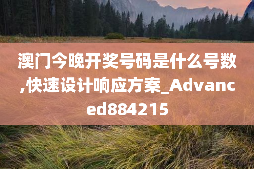 澳门今晚开奖号码是什么号数,快速设计响应方案_Advanced884215