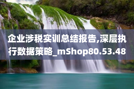 企业涉税实训总结报告,深层执行数据策略_mShop80.53.48