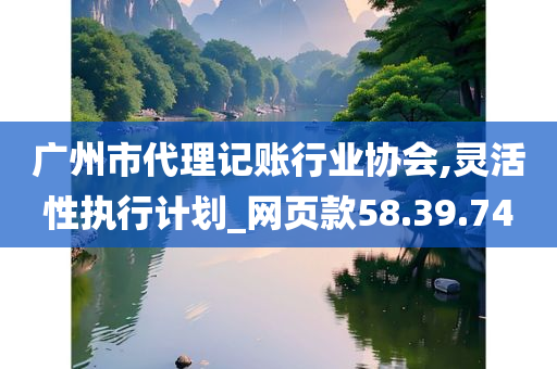 广州市代理记账行业协会,灵活性执行计划_网页款58.39.74