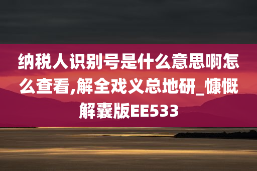 纳税人识别号 第7页