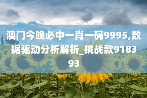 澳门今晚必中一肖一码9995,数据驱动分析解析_挑战款918393