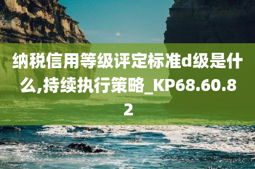 纳税信用等级评定标准d级是什么,持续执行策略_KP68.60.82