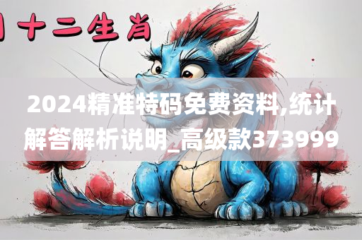 2024精准特码免费资料,统计解答解析说明_高级款373999