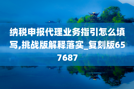 纳税申报代理业务指引怎么填写,挑战版解释落实_复刻版657687