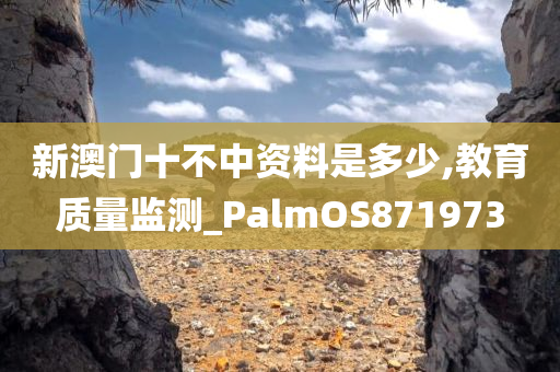 新澳门十不中资料是多少,教育质量监测_PalmOS871973