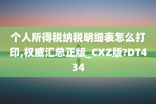 个人所得税纳税明细表怎么打印,权威汇总正版_CXZ版?DT434