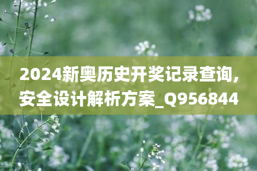 2024新奥历史开奖记录查询,安全设计解析方案_Q956844