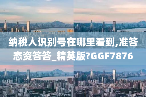 纳税人识别号在哪里看到,准答态资答答_精英版?GGF7876