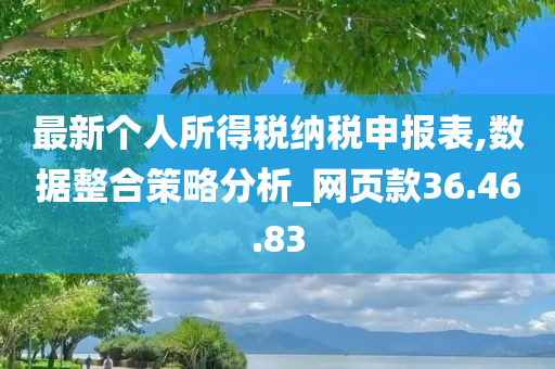 最新个人所得税纳税申报表,数据整合策略分析_网页款36.46.83