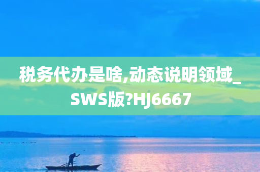 税务代办是啥,动态说明领域_SWS版?HJ6667