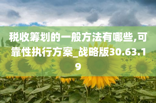 税收筹划的一般方法有哪些,可靠性执行方案_战略版30.63.19