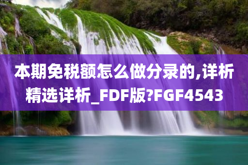 本期免税额怎么做分录的,详析精选详析_FDF版?FGF4543