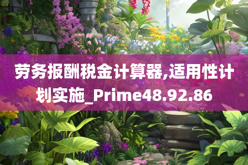 劳务报酬税金计算器,适用性计划实施_Prime48.92.86