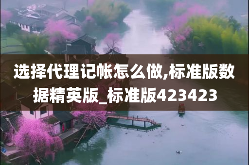 选择代理记帐怎么做,标准版数据精英版_标准版423423