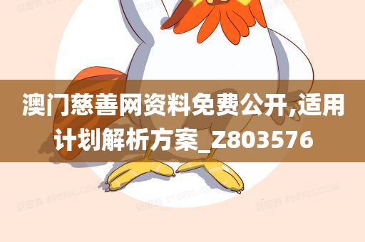 澳门慈善网资料免费公开,适用计划解析方案_Z803576