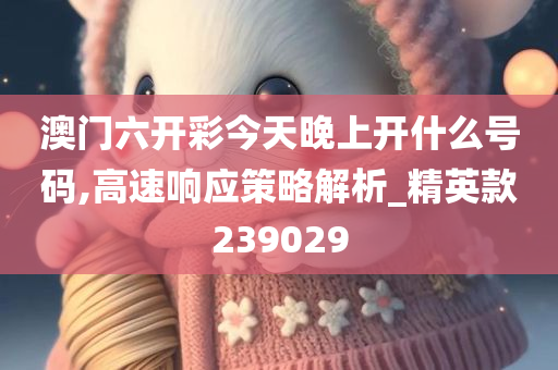 澳门六开彩今天晚上开什么号码,高速响应策略解析_精英款239029