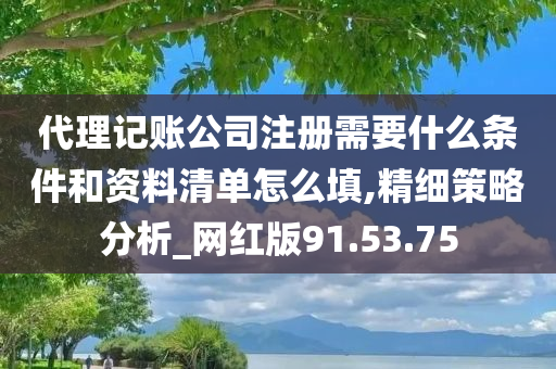 代理记账公司注册需要什么条件和资料清单怎么填,精细策略分析_网红版91.53.75