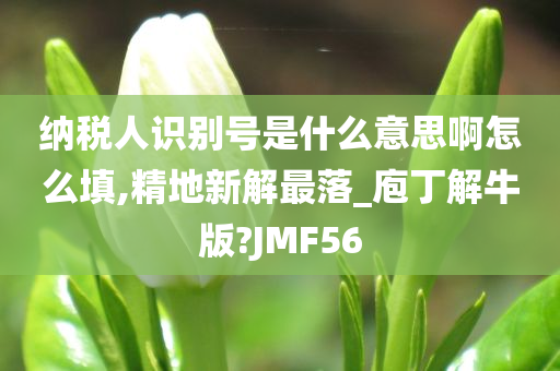 纳税人识别号是什么意思啊怎么填,精地新解最落_庖丁解牛版?JMF56