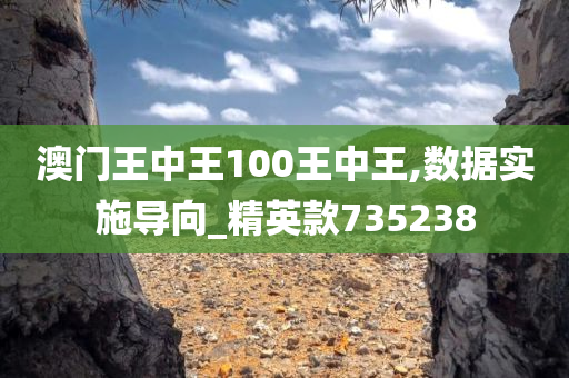 澳门王中王100王中王,数据实施导向_精英款735238