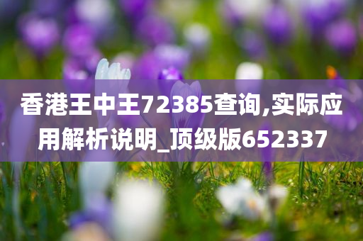 香港王中王72385查询,实际应用解析说明_顶级版652337