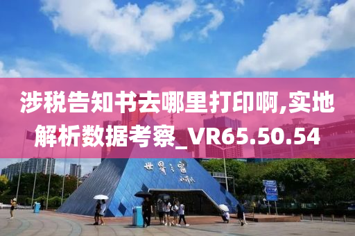 涉税告知书去哪里打印啊,实地解析数据考察_VR65.50.54