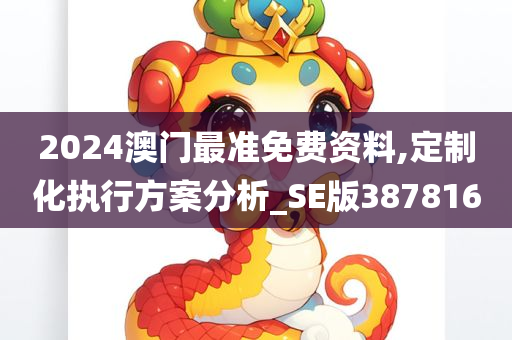 2024澳门最准免费资料,定制化执行方案分析_SE版387816