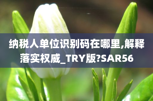 纳税人单位识别码在哪里,解释落实权威_TRY版?SAR56