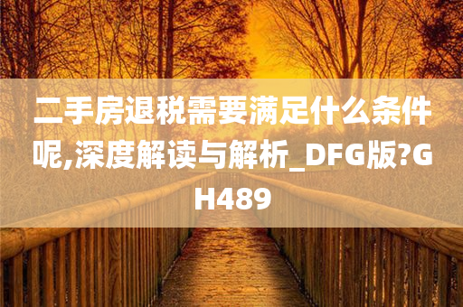 二手房退税需要满足什么条件呢,深度解读与解析_DFG版?GH489