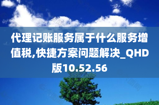 代理记账服务属于什么服务增值税,快捷方案问题解决_QHD版10.52.56