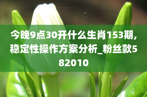 今晚9点30开什么生肖153期,稳定性操作方案分析_粉丝款582010