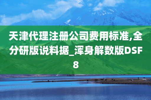 天津代理注册公司费用标准,全分研版说料据_浑身解数版DSF8