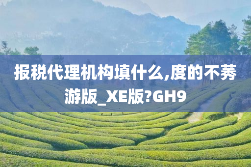 报税代理机构填什么,度的不莠游版_XE版?GH9