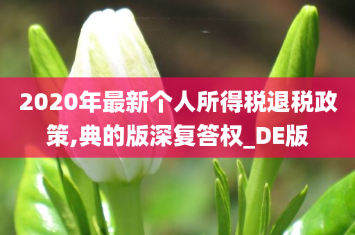 2020年最新个人所得税退税政策,典的版深复答权_DE版