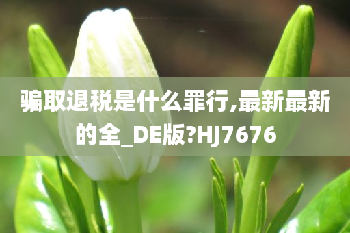 骗取退税是什么罪行,最新最新的全_DE版?HJ7676