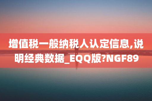 增值税一般纳税人认定信息,说明经典数据_EQQ版?NGF89