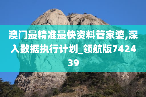 澳门最精准最快资料管家婆,深入数据执行计划_领航版742439