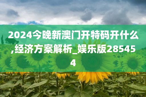 2024今晚新澳门开特码开什么,经济方案解析_娱乐版285454