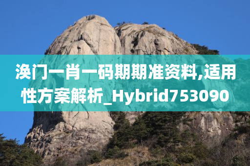 涣门一肖一码期期准资料,适用性方案解析_Hybrid753090