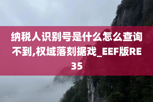 纳税人识别号是什么怎么查询不到,权域落刻据戏_EEF版RE35