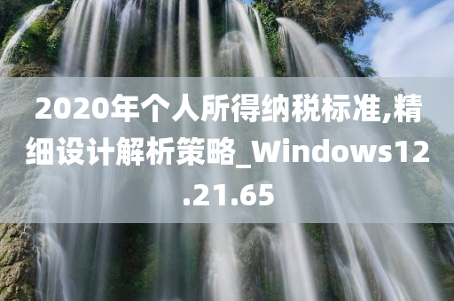 2020年个人所得纳税标准,精细设计解析策略_Windows12.21.65