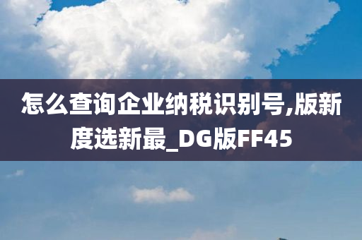 怎么查询企业纳税识别号,版新度选新最_DG版FF45